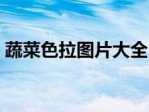 蔬菜色拉图片大全（蔬菜色拉用的什么蔬菜）