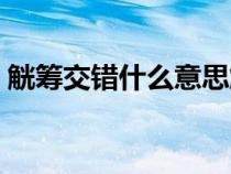 觥筹交错什么意思解释（觥筹交错什么意思）