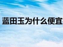 蓝田玉为什么便宜很多（蓝田玉为什么便宜）