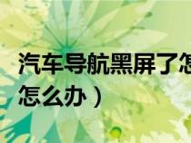汽车导航黑屏了怎么办（汽车导航显示器黑屏怎么办）