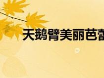天鹅臂美丽芭蕾（芭蕾天鹅臂怎么做）