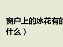 窗户上的冰花有的像什么（玻璃窗上的冰花像什么）