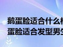 鹅蛋脸适合什么样的发型男生2020（10款鹅蛋脸适合发型男生）