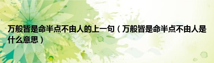万般皆是命半点不由人的上一句（万般皆是命半点不由人是什么意思）