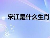 宋江是什么生肖出生（宋江是什么生肖）