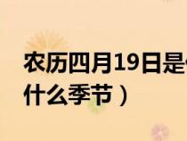 农历四月19日是什么星座?（农历4月19日是什么季节）