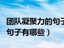 团队凝聚力的句子有哪些简短（团队凝聚力的句子有哪些）