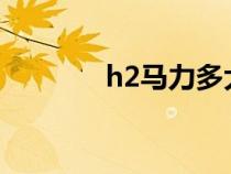 h2马力多大（h2r多少马力）
