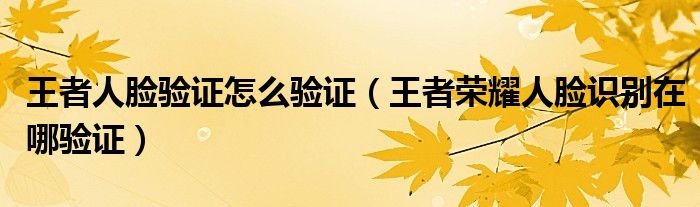 王者人脸验证怎么验证（王者荣耀人脸识别在哪验证）