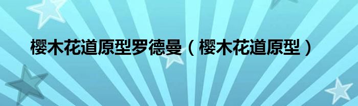 樱木花道原型罗德曼（樱木花道原型）