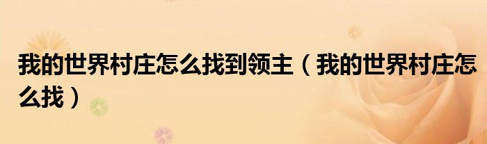 我的世界村庄怎么找到领主（我的世界村庄怎么找）