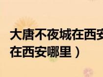 大唐不夜城在西安哪里地铁路线（大唐不夜城在西安哪里）