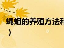 蝇蛆的养殖方法和注意事项（最新蝇蛆养殖法）