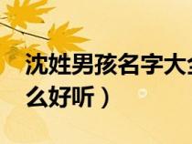 沈姓男孩名字大全2021（沈姓男孩名字叫什么好听）