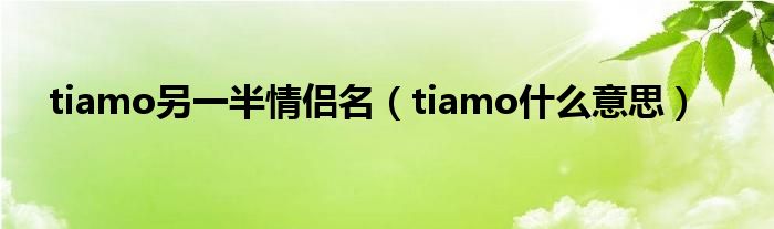 tiamo另一半情侣名（tiamo什么意思）