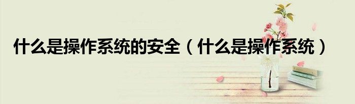 什么是操作系统的安全（什么是操作系统）