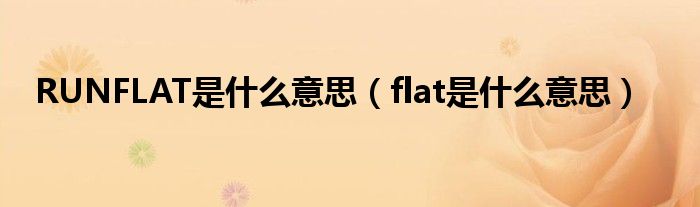 RUNFLAT是什么意思（flat是什么意思）