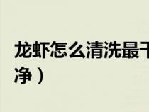 龙虾怎么清洗最干净视频（龙虾怎么清洗最干净）