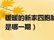 暖暖的新家四胞胎第几集（暖暖的新家四胞胎是哪一期）