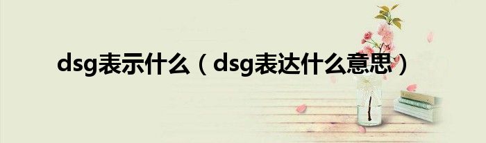dsg表示什么（dsg表达什么意思）