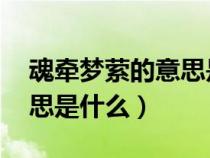 魂牵梦萦的意思是什么 成语（魂牵梦萦的意思是什么）