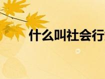 什么叫社会行为（社会行为的解释）