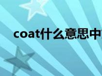 coat什么意思中文翻译（coat什么意思）