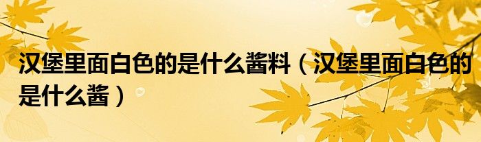 汉堡里面白色的是什么酱料（汉堡里面白色的是什么酱）