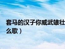 套马的汉子你威武雄壮什么意思（套马的汉子你威武雄壮什么歌）