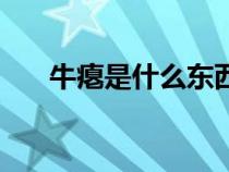 牛瘪是什么东西啊（牛瘪是什么东西）