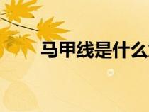马甲线是什么意思（马甲线是什么）