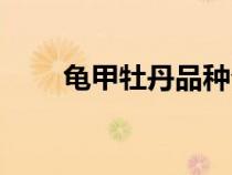 龟甲牡丹品种介绍（龟甲牡丹品种）