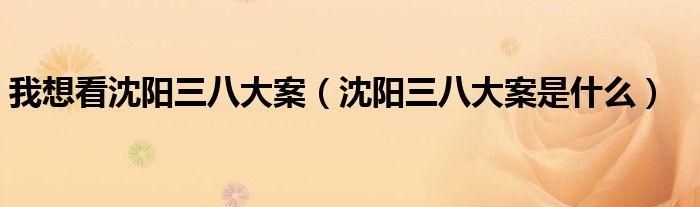 我想看沈阳三八大案（沈阳三八大案是什么）