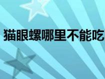 猫眼螺哪里不能吃图解（猫眼螺哪里不能吃）