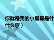 你就是我的小星星是什么歌男女合唱（你就是我的小星星是什么歌）