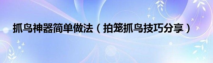 抓鸟神器简单做法（拍笼抓鸟技巧分享）