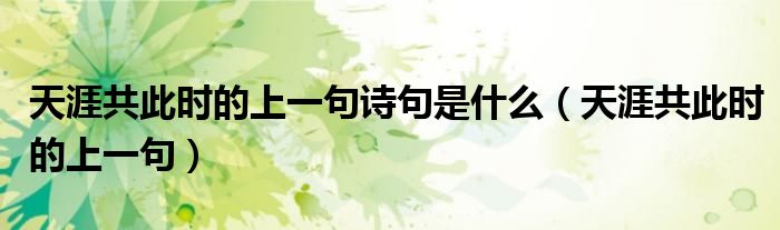 天涯共此时的上一句诗句是什么（天涯共此时的上一句）