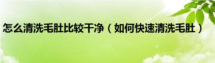 怎么清洗毛肚比较干净（如何快速清洗毛肚）
