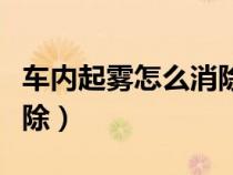 车内起雾怎么消除（车内起雾如何才能快速去除）