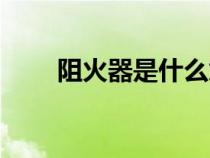 阻火器是什么意思（阻火器是什么）