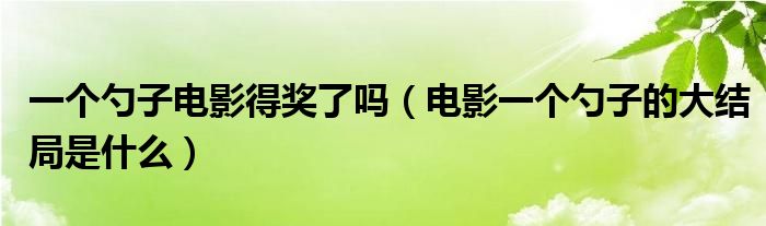 一个勺子电影得奖了吗（电影一个勺子的大结局是什么）