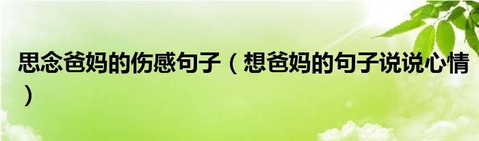 思念爸妈的伤感句子（想爸妈的句子说说心情）