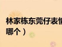 林家栋东莞仔表情包（林家栋东莞仔的电影是哪个）