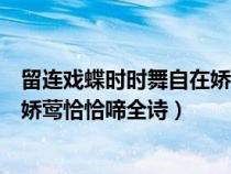 留连戏蝶时时舞自在娇莺恰恰啼诗意（留连戏蝶时时舞自在娇莺恰恰啼全诗）
