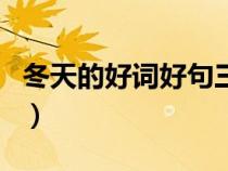 冬天的好词好句三年级上册（冬天的好词好句）