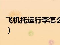 飞机托运行李怎么取货（飞机托运行李怎么取）