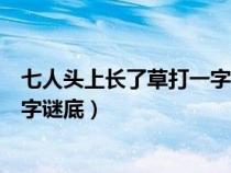 七人头上长了草打一字谜底是什么字（七人头上长了草打一字谜底）