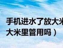 手机进水了放大米里多长时间（手机进水了放大米里管用吗）