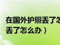 在国外护照丢了怎么办电子护照（在国外护照丢了怎么办）