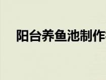 阳台养鱼池制作视频（阳台养鱼池制作）